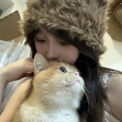 飞贼黑猫